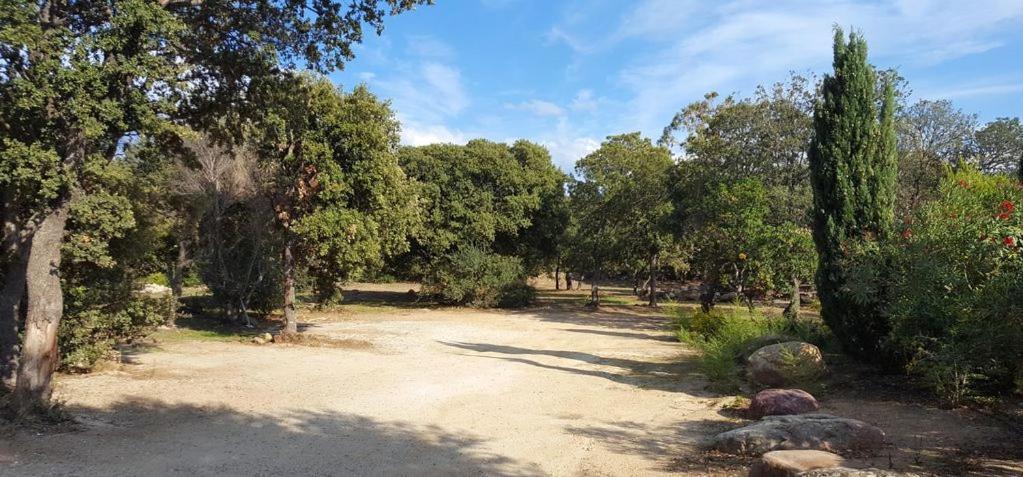 Le Bois De Capra Scorsa Villa Belgodere  Exterior photo